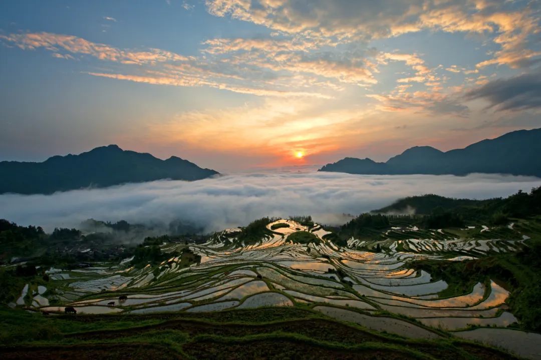 天博体育官方平台入口建设一批千万级核心景区！今年浙江深入推进美丽大花园建设