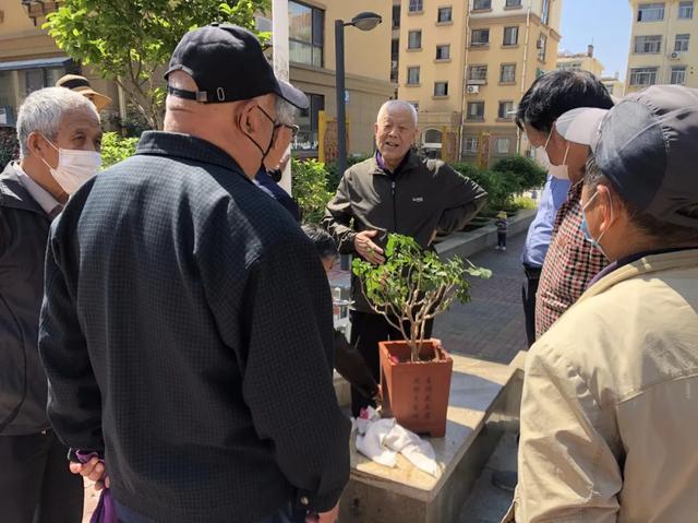 天博文明城市 共享花园你我共建 一草一木尽显精致(图5)