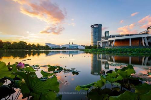 天博体育官方平台入口植物生产类专业有7所大学的实力比较强(图2)