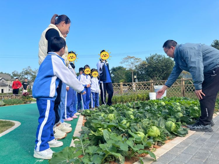 天博体育官方平台入口共建爱心花园大鹏新区残疾儿童园艺疗愈项目启动(图2)