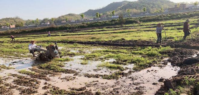 天博官网【农业地理】三种不同版本地理教材中的农业地域类型探讨高考地理中的土地撂荒(图11)