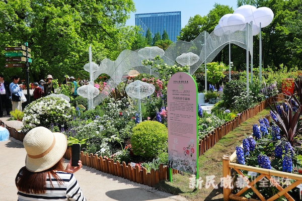 天博魔都限时打卡！到花园里来一场香氛疗愈、搭一个昆虫旅馆……这些Z世代的创意绝了(图2)