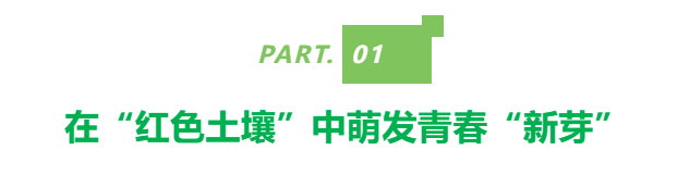 天博官网“红色土壤”萌发“新芽”南山街道青年共建了一座疗愈花园