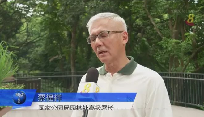 天博体育官方平台入口新加坡生活 新加坡开放第五个康疗花园丛林花香疗愈身心(图5)