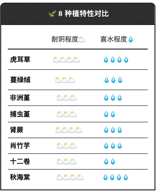 天博官网打工人的尽头是养绿植！(图13)