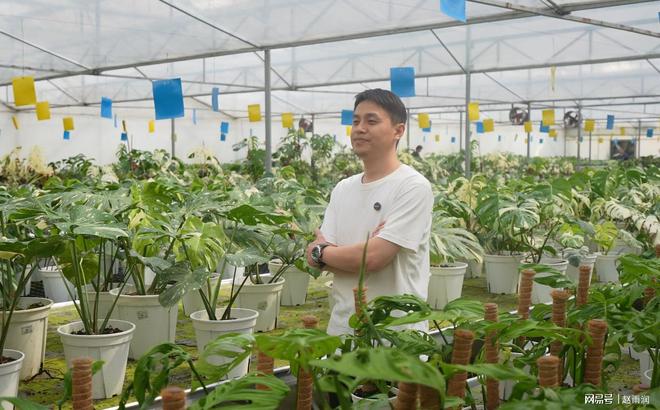 天博体育官方平台入口绿植颠覆者的成功离不开那些在淘宝追寻小美好的年轻人(图1)