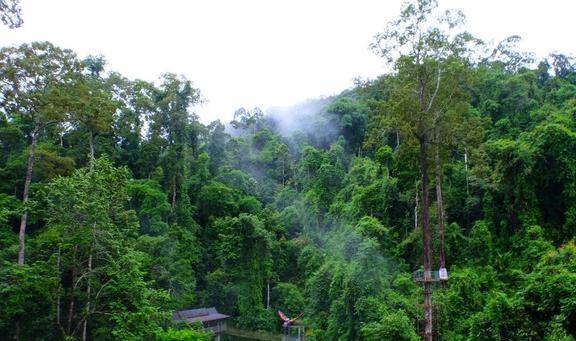 天博官网国内这9个热门旅游目的地有没有车也要去一趟你去过几个？(图5)