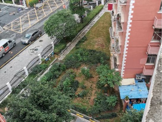 天博共建社区花园共享“花样生活”！快看看有没有你家小区