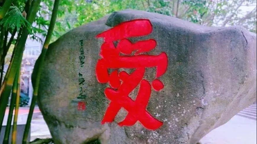 天博武夷山二中暨洪彪：走正心之路育时代新人！(图4)