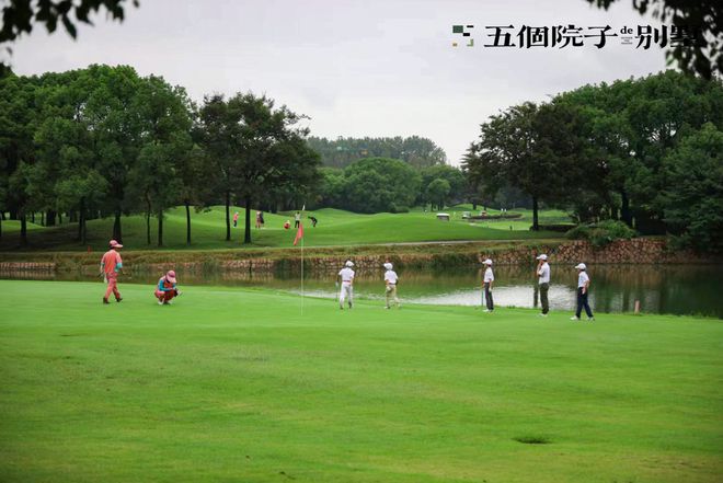 天博体育官方平台入口五个院子的别墅官方电话-上海五个院子的别墅官方网站-上海房天(图13)