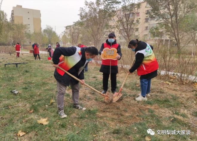 天博我为群众办实事｜共建社区花园(图3)