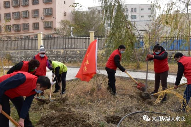 天博我为群众办实事｜共建社区花园(图6)