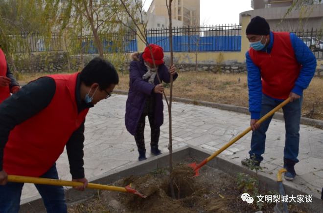 天博我为群众办实事｜共建社区花园(图7)