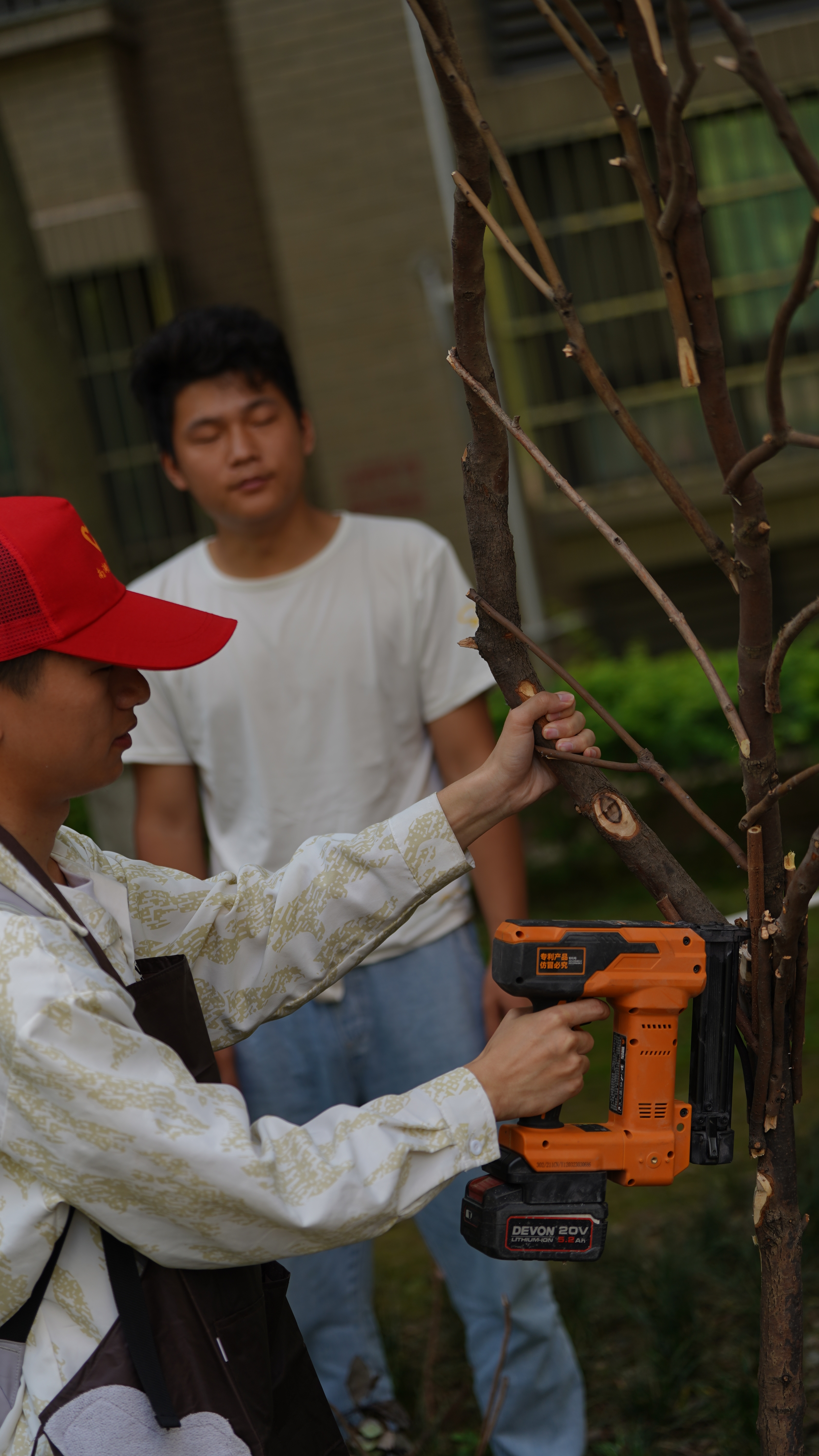 天博官网园林技师手把手教小朋友种花帮社区居民共建花园(图6)