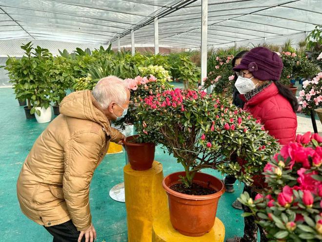 天博“美丽经济”让年味更香浓！松江这里人气旺(图4)