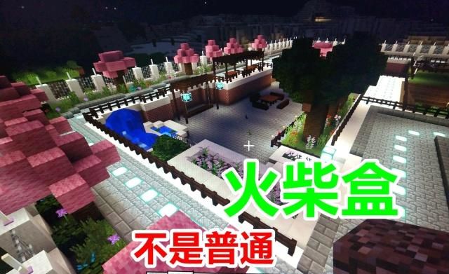 天博我的世界：mc建筑大神亮出“杰作”不是普通火柴盒全屋特霸气(图3)