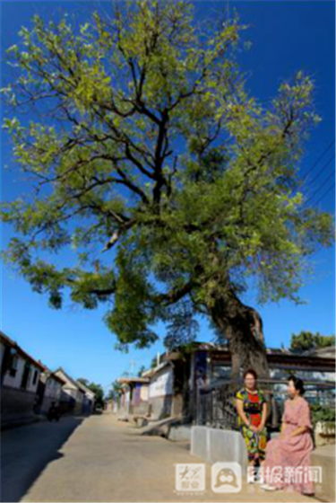 天博体育官方平台入口【龙口乡村记忆⑧】馆前走出辛亥“山东第一人”走出《敢问路在何(图15)