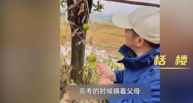 天博体育官方平台入口男子花2年在城市周边找出400种植物做植物科普引发集体回忆(图3)