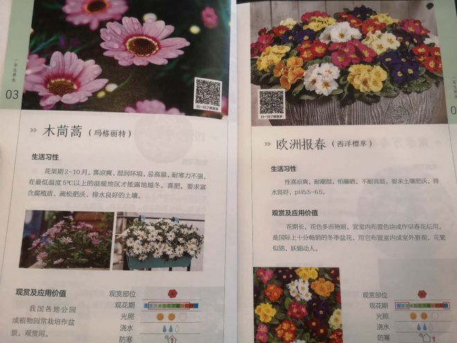 天博官网上海试点窗阳台绿化 首批66种推荐植物敲定(图1)