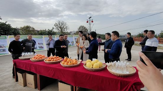 天博官网入口石门县秀坪园艺场：发挥自治效能 展现秀坪风采(图4)