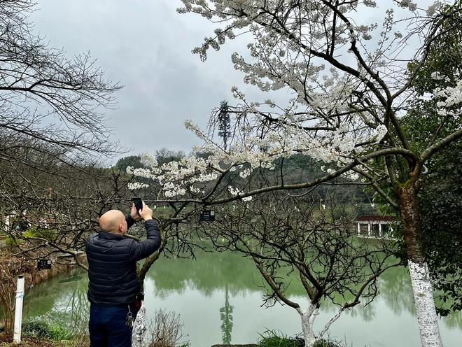 天博官网入口这个公园堪称“春天最美花园”记者为你整理了这份赏花时间(图7)