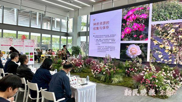 天博官网花展展品如何变商品？这场“花卉推介会”带来了80多种“全国首发”(图1)