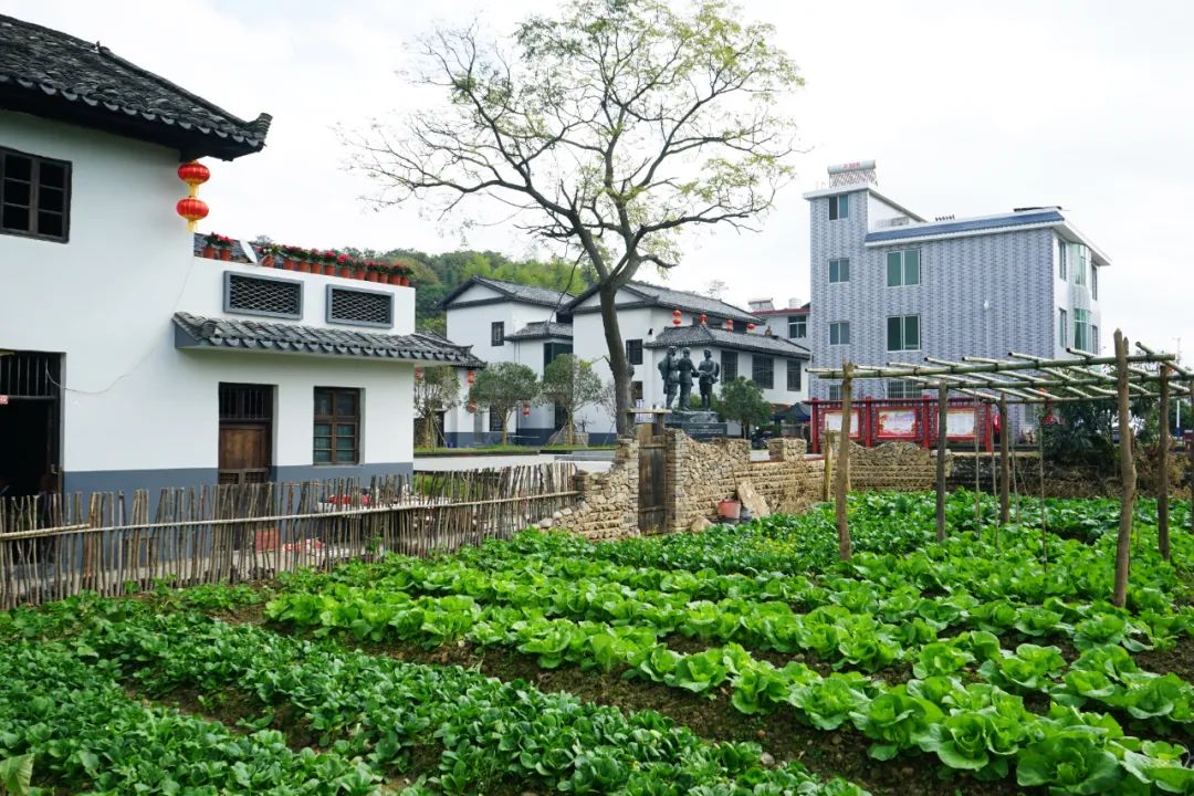 天博体育官方平台入口看三湘大地绿意盎然(图5)