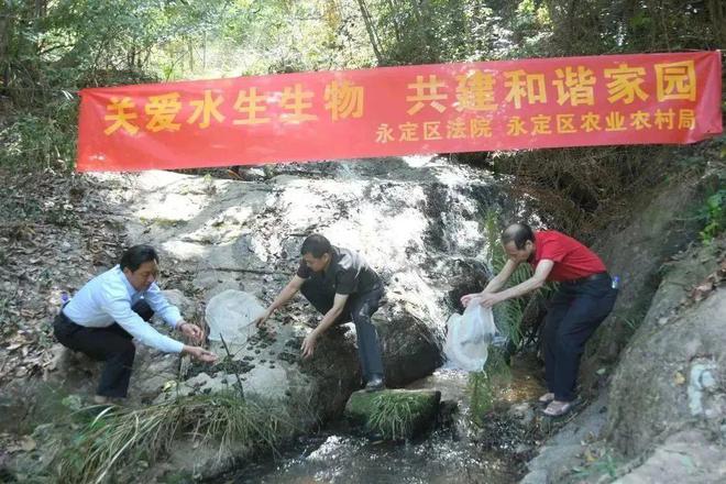 天博岩法拾光 绿之歌(图8)