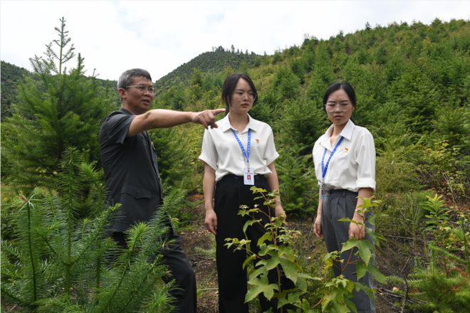 天博岩法拾光 绿之歌(图10)