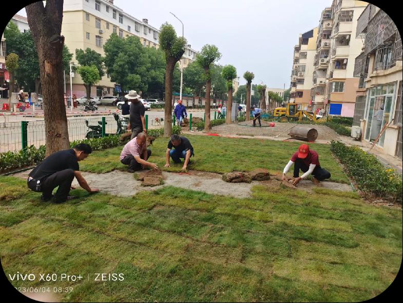 天博官网多方联动建设“共享花园” 武汉市关东街道南湖社区践行幸福生活共同缔造(图4)