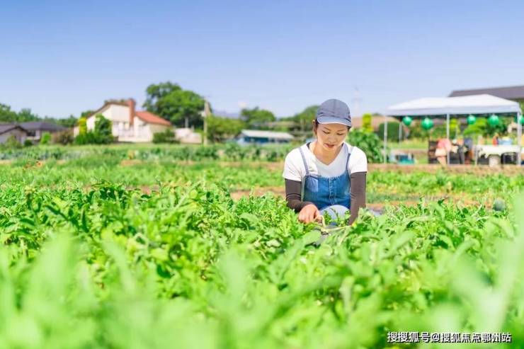 天博官网入口蓝城桃李春风-(萧山蓝城桃李春风)首页网站!萧山桃李春风楼盘详情配套(图10)