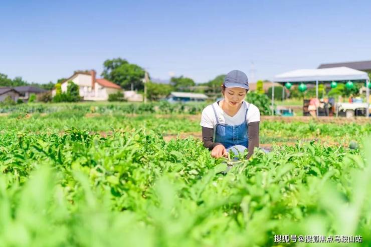 天博官网蓝城桃李春风-(杭州蓝城桃李春风)首页网站丨蓝城桃李春风售楼处户型电话(图10)