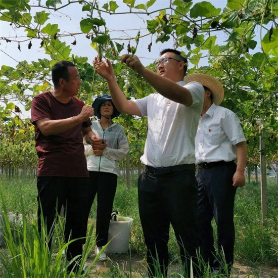 天博官网入口公示！第十四届“嘉兴市十大杰出青年”候选人名单出炉(图12)