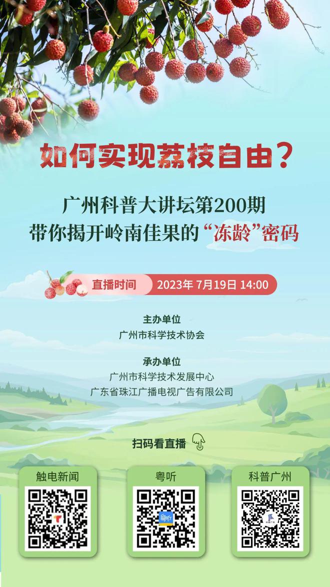 天博官网入口如何实现荔枝自由？一起揭开荔枝的“冻龄”密码(图1)