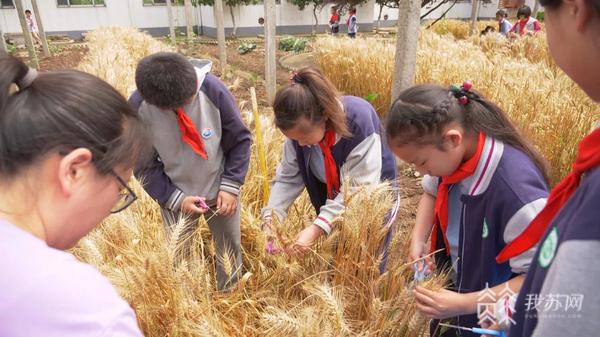 天博体育官方平台入口走进“生态园”步入“身边的课堂” 苏州各校劳动教育有趣有料有(图2)