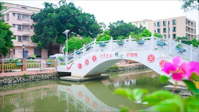 天博三八丽人行线路推荐⑭：周末来坦洲一起邂逅春日绿美风景线！(图9)