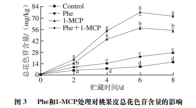 天博官网《食品科学》：沈阳农业大学周宏胜副研究员等：1-甲基环丙烯结合苯丙氨酸处(图3)