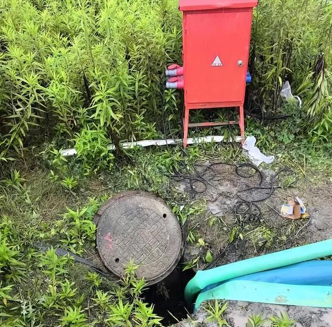 天博暴力梅下了N个西湖上海会“看海”吗？！记者冒雨走访多个易积水点结果→(图9)