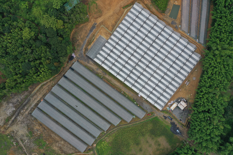 天博防城区：智慧生态种植大棚助力农业绿色化转型升级(图2)