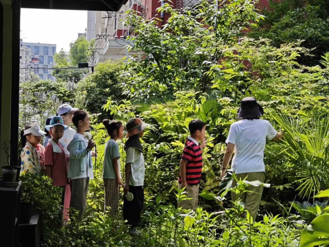 天博体育官方平台入口到生境花园去过不一样的暑假！