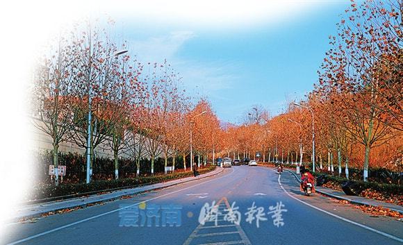 天博官网入口生态园林 节水园林 精细园林 智慧园林！2022济南市中绿色幸福指数(图4)