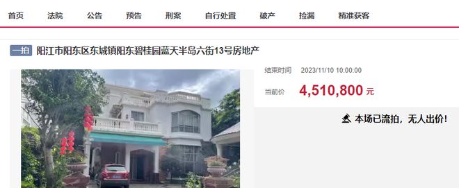 天博官网阳江市阳东碧桂园一栋独栋别墅被拍卖432万成交还便宜了(图3)