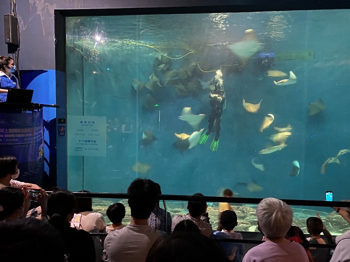 天博官网上海海洋水族馆将举行“行动起来关爱水生野生动物”系列科普活动