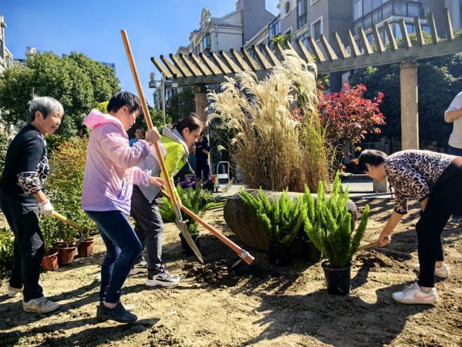 天博官网奉浦这个小区共同打造的“共建花园”让你转角遇到美(图2)