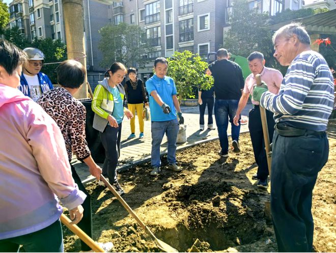 天博官网奉浦这个小区共同打造的“共建花园”让你转角遇到美(图6)