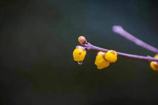 天博48岁保姆：照顾一位残疾老人每月6千还配车可我还是辞工了(图4)