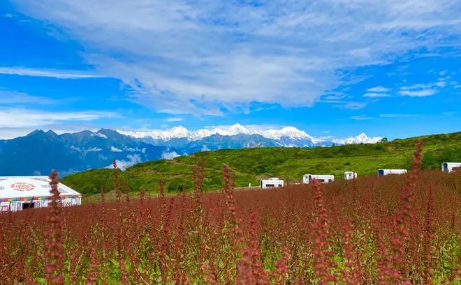 天博四川西部最大的天然景观平台王岗坪上躺着看贡嘎神山和满天繁星(图6)