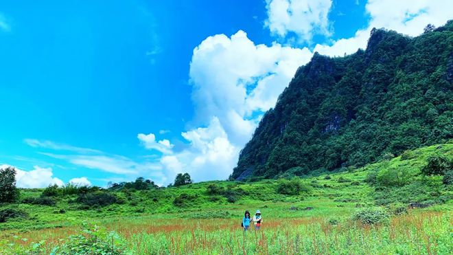 天博四川西部最大的天然景观平台王岗坪上躺着看贡嘎神山和满天繁星(图11)