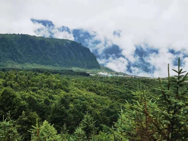 天博四川西部最大的天然景观平台王岗坪上躺着看贡嘎神山和满天繁星(图13)