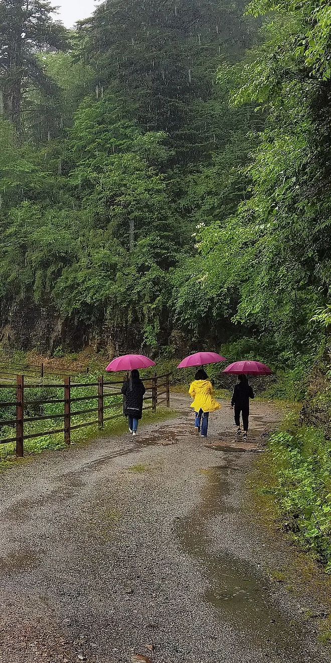 天博四川西部最大的天然景观平台王岗坪上躺着看贡嘎神山和满天繁星(图14)